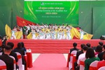 Đại học Quốc gia Hà Nội: Chuyển mình mạnh mẽ trở thành một đô thị đại học xanh