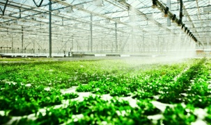 Phát triển ngành trồng trọt theo nông nghiệp ứng dụng công nghệ cao, thân thiện với môi trường