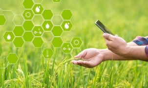 Ứng dụng công nghệ viễn thám giúp ngành nông nghiệp vượt qua sự mù mờ về dữ liệu
