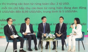Tài chính carbon và cơ hội cho doanh nghiệp ngành gỗ Việt Nam