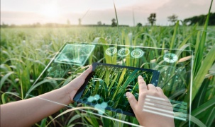 Nông nghiệp thông minh: Tiềm năng biến đổi của nông nghiệp dựa trên dữ liệu