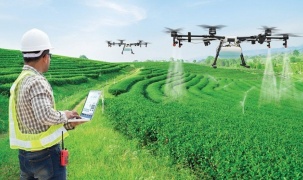 Những điểm nghẽn khoa học công nghệ trong lĩnh vực nông nghiệp
