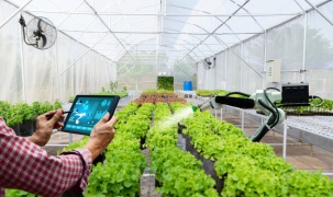 Phát triển nông nghiệp công nghệ cao, tạo đột phá về năng suất, chất lượng nông sản