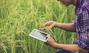 Đột phá trong nông nghiệp nhờ ứng dụng công nghệ 5.0