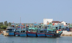 Bình Định sẽ thu hồi giấy phép tàu cá không lắp thiết bị giám sát hành trình
