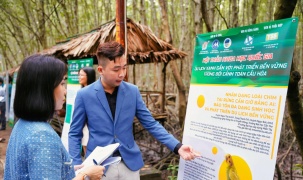 Ứng dụng AI bảo tồn các loài chim quý hiếm ở rừng ngập mặn Cần Giờ
