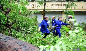 Hà Nội: Nỗ lực khắc phục thiệt hại về cây xanh gãy, đổ sau cơn bão số 3