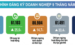 Bình quân mỗi tháng có 20 nghìn doanh nghiệp thành lập mới và quay trở lại hoạt động