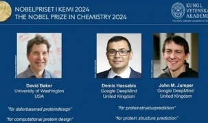 Nobel Hóa học 2024: Dùng AI 'giải mã' về protein