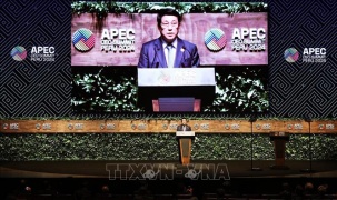 Chủ tịch nước phát biểu tại Hội nghị Thượng đỉnh doanh nghiệp APEC-CEO Summit