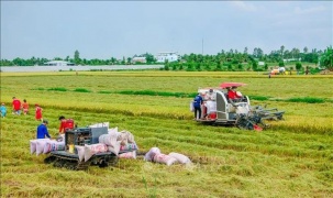 Lào Cai: Chuyển đổi số nông nghiệp đạt nhiều kết quả khả quan