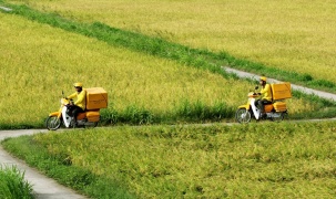 Bưu chính Việt Nam được xếp hạng nhóm phát triển tiến tới hoàn hảo