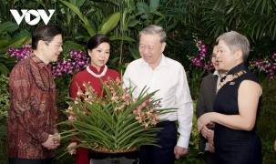 Singapore định danh loài hoa lan mới theo tên Tổng Bí thư Tô Lâm và Phu nhân