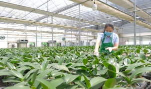 Hà Nội sẽ có Trung tâm nông nghiệp ứng dụng công nghệ cao