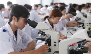 Giáo dục và lực lượng lao động: “Chìa khóa” định hình tương lai FDI trong kỷ nguyên mới