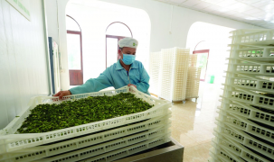 Chuyển đổi xanh: Cuộc đua không thể bỏ lỡ của mọi doanh nghiệp