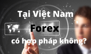 Chưa có một sàn Forex nào tại Việt Nam được cấp phép