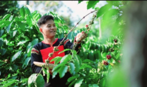 Nông nghiệp tư nhân – Từ kẻ theo sau thành người tiên phong chuyển đổi số
