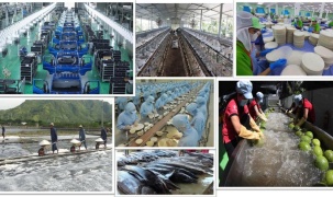 Tổng Bí thư Tô Lâm và tư duy lý luận mới về kinh tế tư nhân
