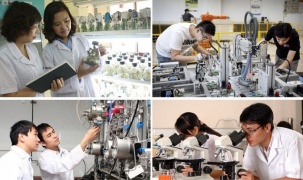 Quy định trách nhiệm người đứng đầu trong triển khai nhiệm vụ phát triển KHCN