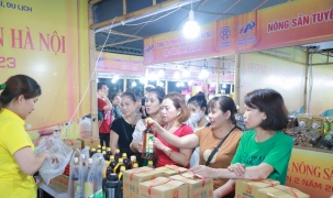 Kinh tế tư nhân - Động lực quan trọng của nền kinh tế quốc gia