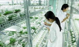 Hà Nội xây khu công nghệ cao sinh học tại quận Bắc Từ Liêm