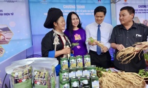 Xây dựng hệ sinh thái thương mại điện tử vùng Trung du và miền núi phía Bắc
