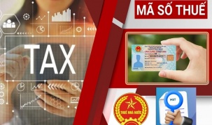 Sử dụng số định danh cá nhân thay cho mã số thuế từ 01/7/2025: Lưu ý với người nộp thuế