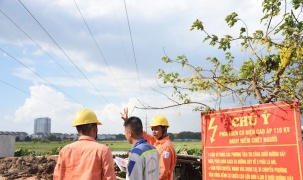 Thanh Hóa triển khai thực hiện nghiêm túc các quy định về quản lý hành lang an toàn lưới điện cao áp