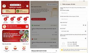 Hướng dẫn chi tiết định danh tài khoản trên VNeID cho tổ chức, doanh nghiệp