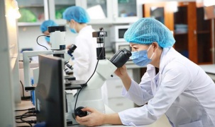 Mở rộng thẩm quyền của địa phương trong  lĩnh vực khoa học và công nghệ