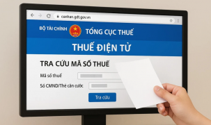 Bị lấy cắp mã số thuế: Cảnh báo về bảo mật thông tin cá nhân