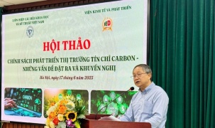 Định hình thị trường tín chỉ carbon: Đòi hỏi thể chế mạnh
