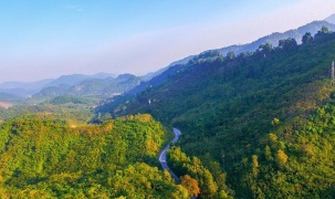 Việt Nam đang dần hoàn thiện khung pháp lý cho thị trường “carbon rừng”