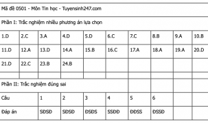 Đáp án tham khảo tất cả các mã đề môn Tin học kỳ thi tốt nghiệp THPT 2025