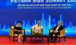 Xây dựng thị trường M&A minh bạch, giúp doanh nghiệp Việt tái cấu trúc