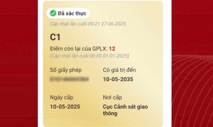 Cách hiển thị bằng lái xe mới trên VNeID sau khi hoàn thành thủ tục online