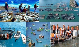 Thủy sản Việt Nam cần mô hình cảnh báo môi trường biển thông minh