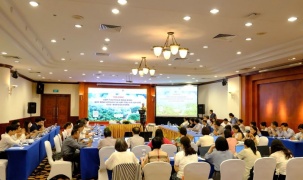 Hoàn thiện khung pháp lý cho thị trường carbon rừng