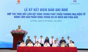 Hỗ trợ doanh nghiệp tận dụng tối đa cơ hội từ nền kinh tế số