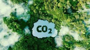 Việt Nam xây dựng thị trường carbon: Từ cam kết Net Zero đến 