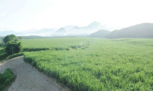 Chuyển đổi xanh giúp doanh nghiệp đáp ứng yêu cầu thị trường, giữ đơn hàng, tăng xuất khẩu