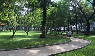 TP.HCM tăng tốc chuyển đổi năng lượng xanh sau sáp nhập