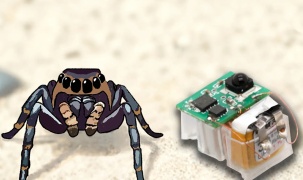 Công nghệ mô phỏng cơ bắp giúp robot siêu nhỏ vượt địa hình dễ dàng