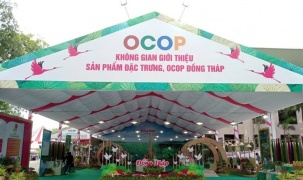 Thương mại Đồng Tháp: Tăng tốc số hóa, mở rộng chuỗi giá trị