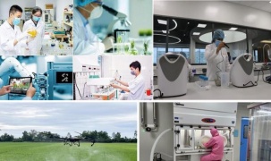 Ban hành Khung chỉ số đánh giá tiềm lực, trình độ KHCN và đổi mới sáng tạo