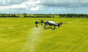 Trung Quốc tích hợp trí tuệ nhân tạo (AI) vào sản xuất nông nghiệp