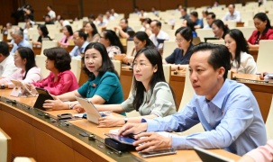 Định hướng các trường đại học theo khối ngành chuyên sâu, tránh đào tạo tràn lan