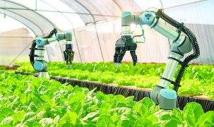 Ứng dụng công nghệ số mở đường cho sản phẩm OCOP vươn xa