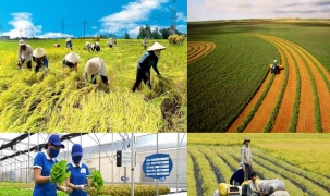 Ứng dụng AI trong phát triển nông nghiệp, nhiều tỉnh ghi nhận kết quả vượt bậc